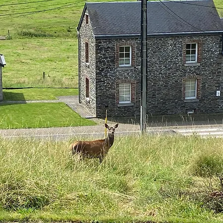 Σπίτι διακοπών Annexe 19 *